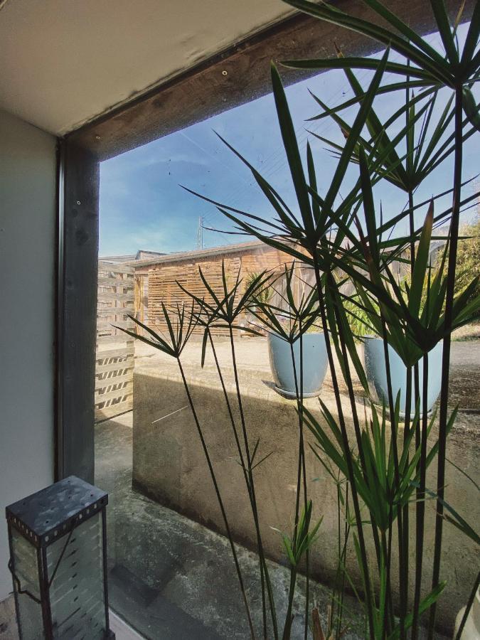 La Bulle D'Embruns D'Herbe Plogoff Εξωτερικό φωτογραφία